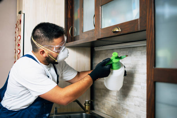 Trusted Asotin, WA Pest Control Experts