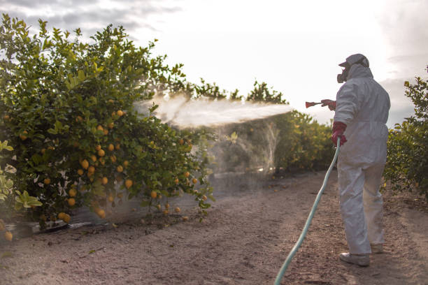 Best Pest Removal Services  in Asotin, WA