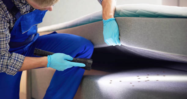 Best Pest Prevention Services  in Asotin, WA
