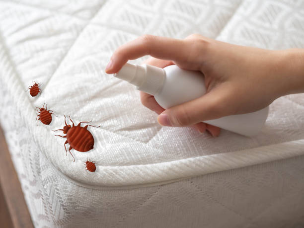 Best Commercial Pest Control Services  in Asotin, WA