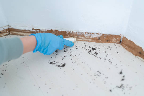 Best Affordable Pest Control Services  in Asotin, WA